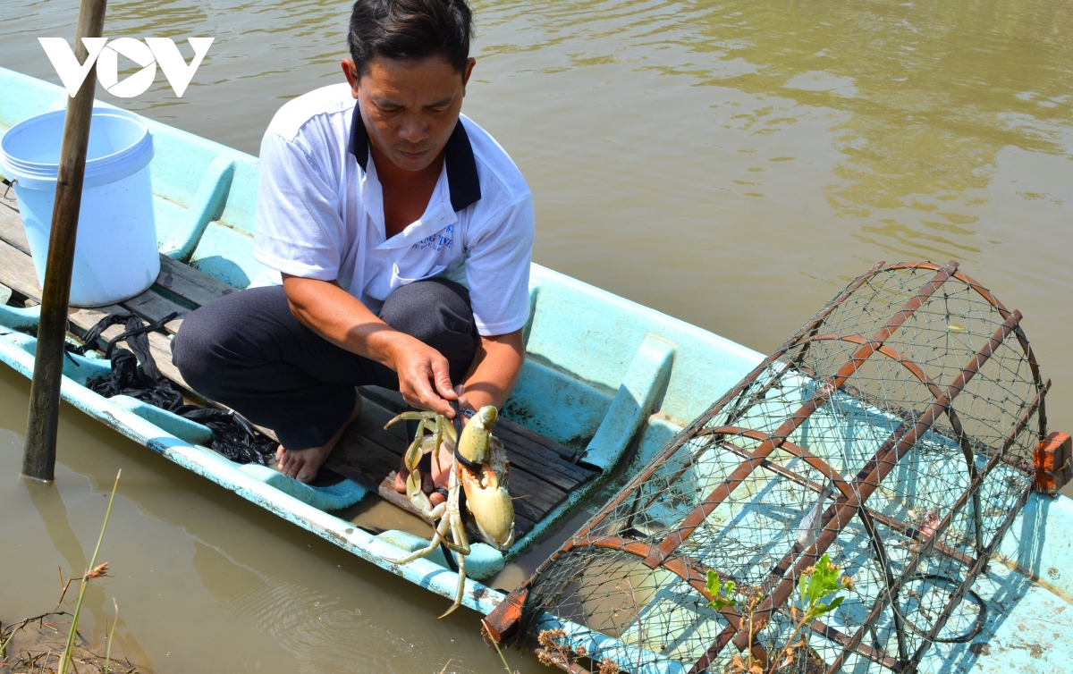 Cua Cà Mau tại sao ngon, ai cũng muốn thưởng thức?- Ảnh 13.