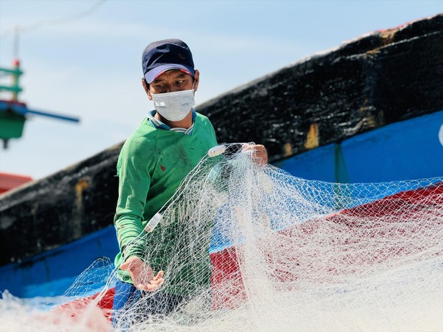 Bão Trà Mi sẽ gây mưa dữ dội ở miền Trung- Ảnh 1.