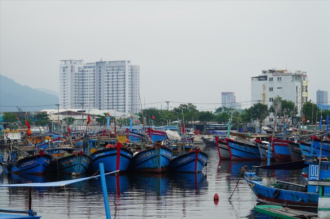 Bão Trà Mi sẽ gây mưa dữ dội ở miền Trung- Ảnh 3.