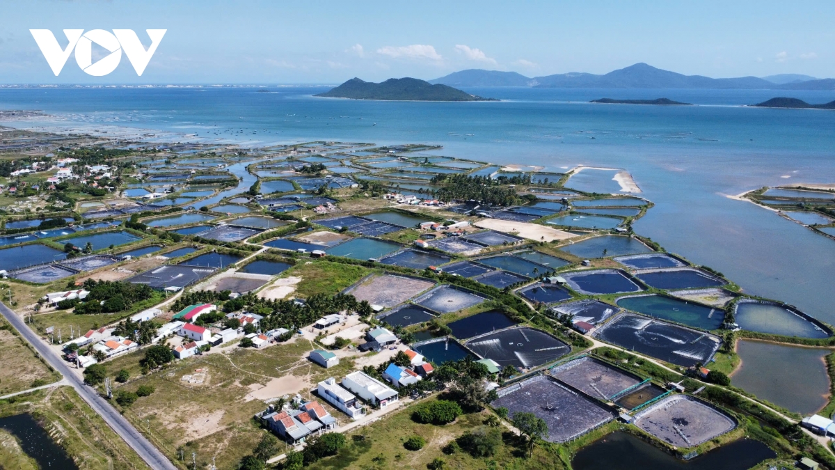 Khánh Hòa đề xuất có thêm sân bay quốc tế Vân Phong- Ảnh 2.