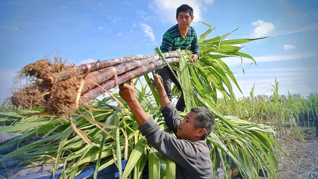 Ôm núi tiền gửi ngân hàng, một doanh nghiệp ung dung thu lời "khủng" mỗi ngày- Ảnh 1.