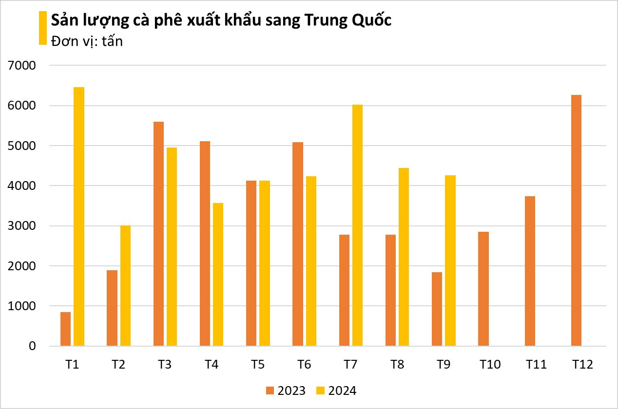 Loại hạt nghìn tỷ của Việt Nam chứng kiến giá tăng 9 tháng không dừng, Trung Quốc bất ngờ tích cực săn lùng- Ảnh 2.