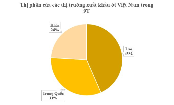 Lào, Trung Quốc mê mệt loại quả 'nhỏ nhưng có võ' này: Việt Nam sở hữu 2 vựa khổng lồ, sản lượng mỗi năm hàng trăm nghìn tấn- Ảnh 1.