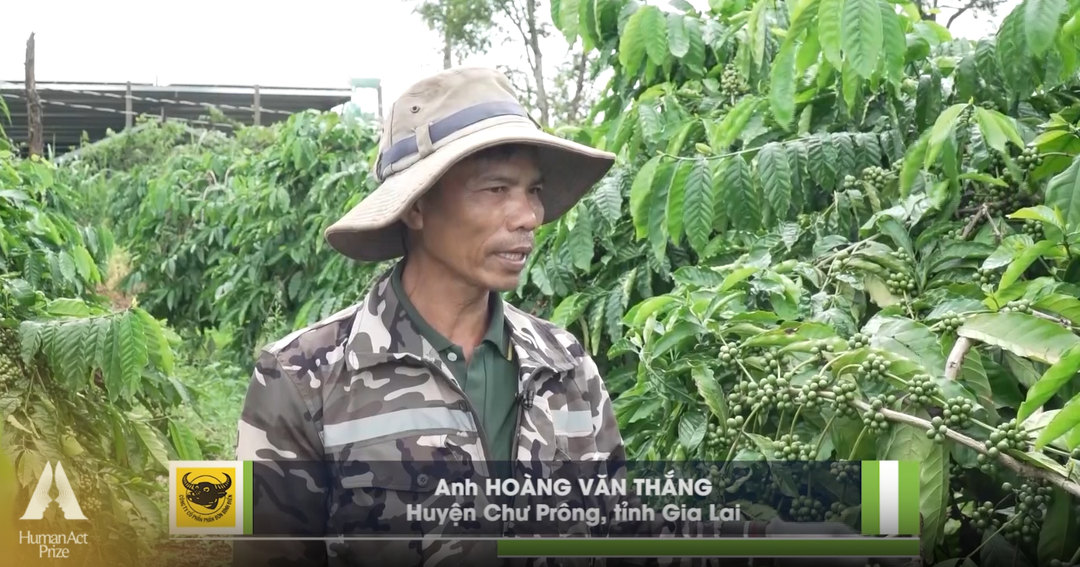 Sở hữu công thức thông minh, người dân trồng “loại cây 6 tỷ đô” cười tươi dù bị ảnh hưởng biến đổi khí hậu- Ảnh 3.