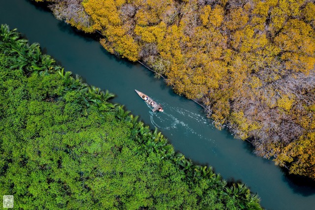 Rừng ở Huế thuộc hệ cực quý hiếm của Đông Nam Á, cách thành phố 15km, du khách đến được gặp "Robinson"- Ảnh 4.