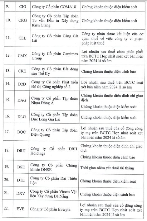 HoSE cắt margin với 85 mã chứng khoán trong quý 4/2024: Loạt cổ phiếu "hot" như NVL, QCG, HVN, HAG, ITA...đều góp mặt- Ảnh 2.