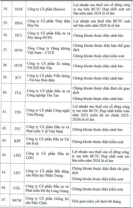 HoSE cắt margin với 85 mã chứng khoán trong quý 4/2024: Loạt cổ phiếu "hot" như NVL, QCG, HVN, HAG, ITA...đều góp mặt- Ảnh 4.