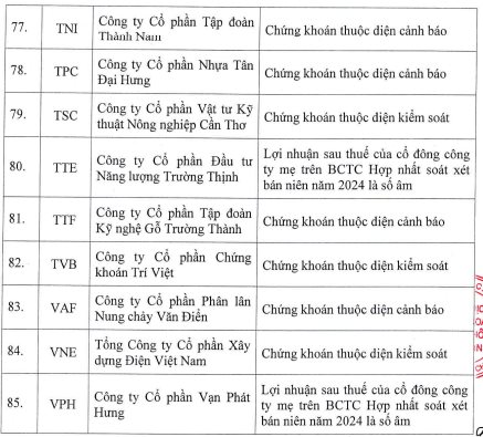 HoSE cắt margin với 85 mã chứng khoán trong quý 4/2024: Loạt cổ phiếu "hot" như NVL, QCG, HVN, HAG, ITA...đều góp mặt- Ảnh 7.