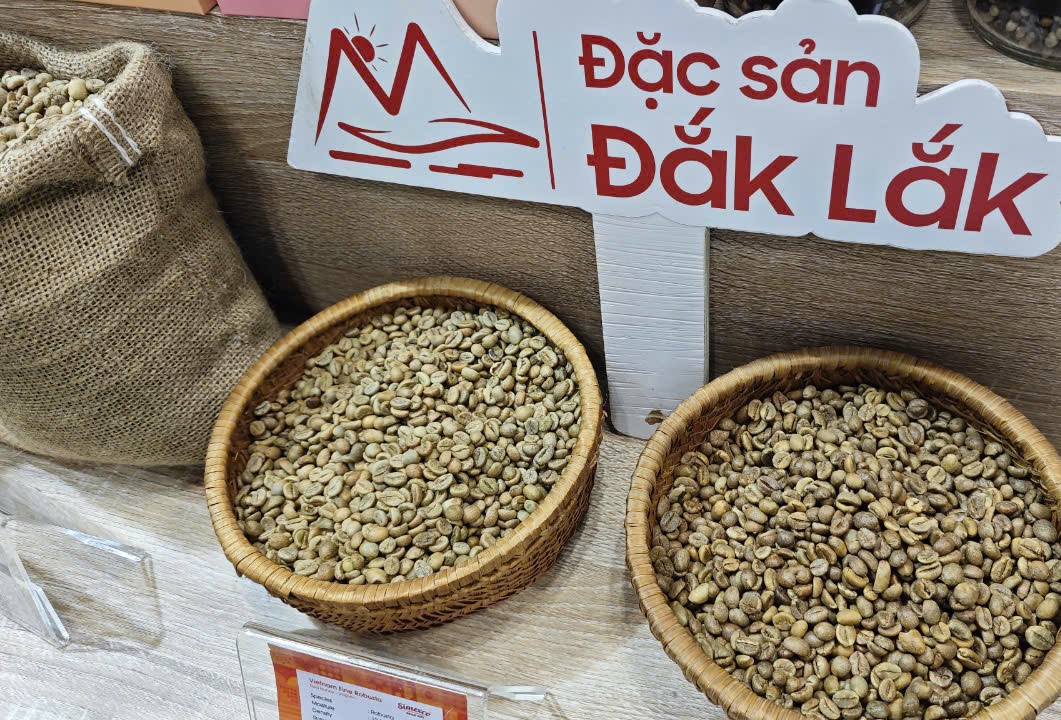 Sốc nặng với giá cà phê Robusta- Ảnh 1.