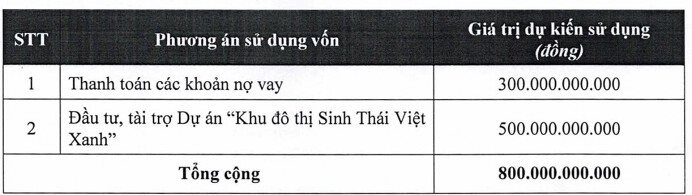 Chủ tịch một công ty bất động sản dự chi 800 tỷ đồng "ôm" trọn 20 triệu cổ phiếu phát hành riêng lẻ- Ảnh 2.