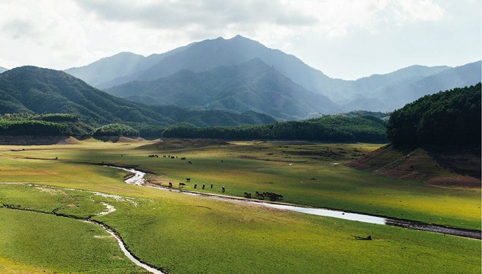 Phát hiện một "vịnh Hạ Long thu nhỏ" ở Đà Nẵng, cách thành phố 20km, du khách nhận xét yên bình như tranh- Ảnh 4.