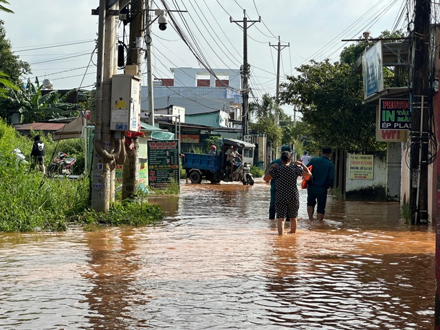 Vì sao hàng trăm hộ dân ở TP Biên Hòa ngập trong "biển nước"?- Ảnh 2.