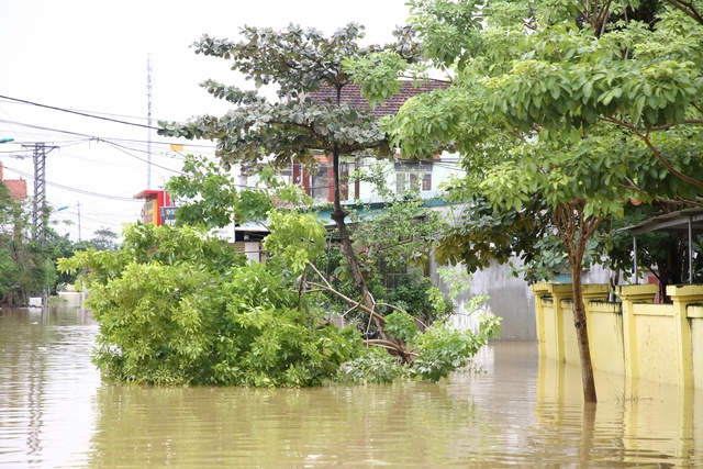 Hình ảnh mới nhất về cuộc sống người dân ở "rốn lũ" Lệ Thủy- Ảnh 14.