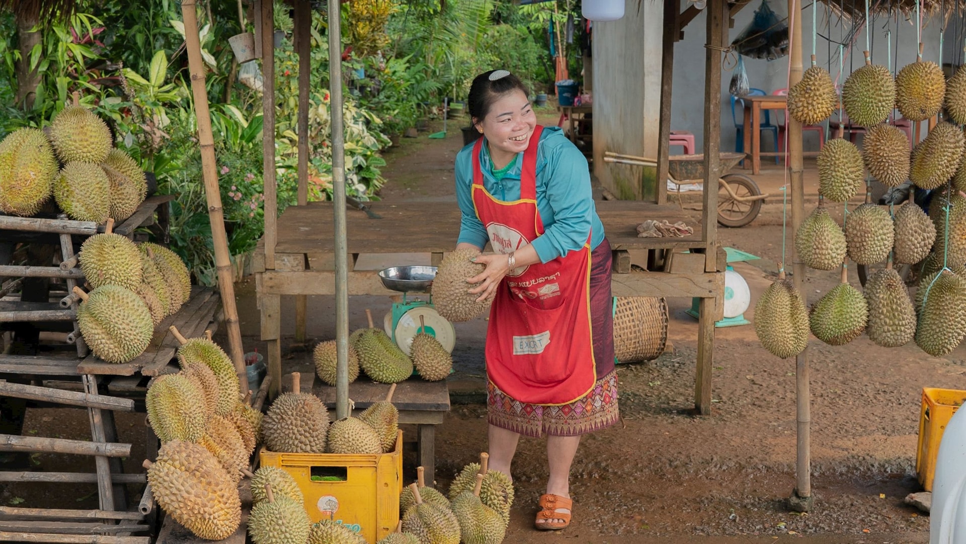 Nhập khẩu phần lớn từ Việt-Thái, nay Trung Quốc muốn thu gom loại đặc sản này từ Lào- Ảnh 2.