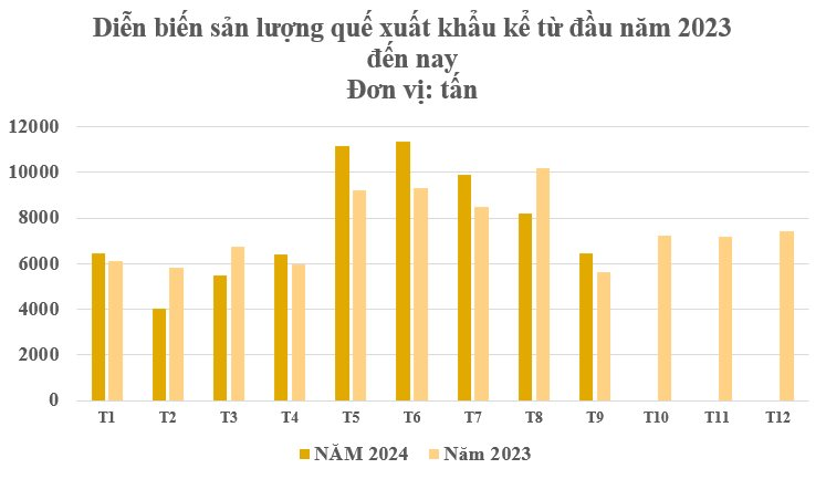 Loài cây gỗ quý từ Indonesia giúp Việt Nam lên ngôi vương của thế giới: Nước ta sở hữu diện tích trồng hơn 180.000 ha, thu về gần 200 triệu USD kể từ đầu năm- Ảnh 2.