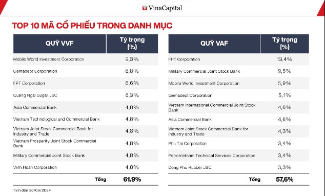 Định giá chứng khoán đang khá thấp, VinaCapital chỉ ra phương pháp "đãi cát" tìm cổ phiếu tiềm năng- Ảnh 1.