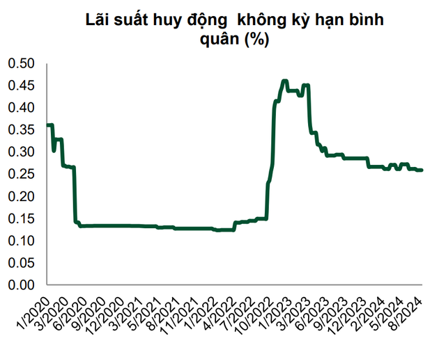 Ngành ngân hàng Việt Nam vừa xác lập một kỷ lục: Điều gì đang diễn ra?- Ảnh 3.