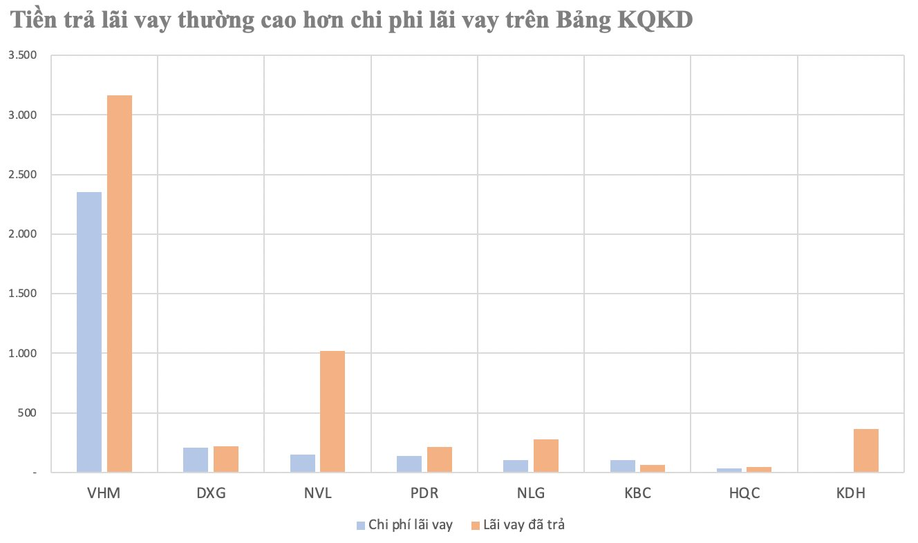 “Tảng băng chìm” của hàng nghìn tỷ chi phí lãi vay tại Novaland, Vinhomes, Khang Điền...- Ảnh 3.