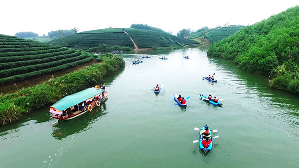 Ngoài biển Cửa Lò, Nghệ An còn có những "ốc đảo xanh" độc đáo: Cảnh được nhận xét không giống nơi nào- Ảnh 12.