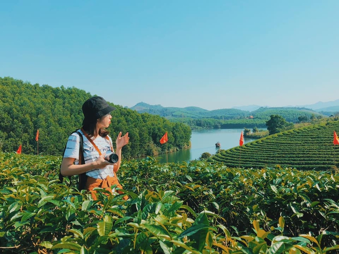 Ngoài biển Cửa Lò, Nghệ An còn có những "ốc đảo xanh" độc đáo: Cảnh được nhận xét không giống nơi nào- Ảnh 9.