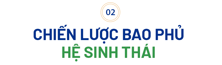 Lần đầu làm CEO ngân hàng nội, Tổng giám đốc Phạm Hồng Hải nói về cú 