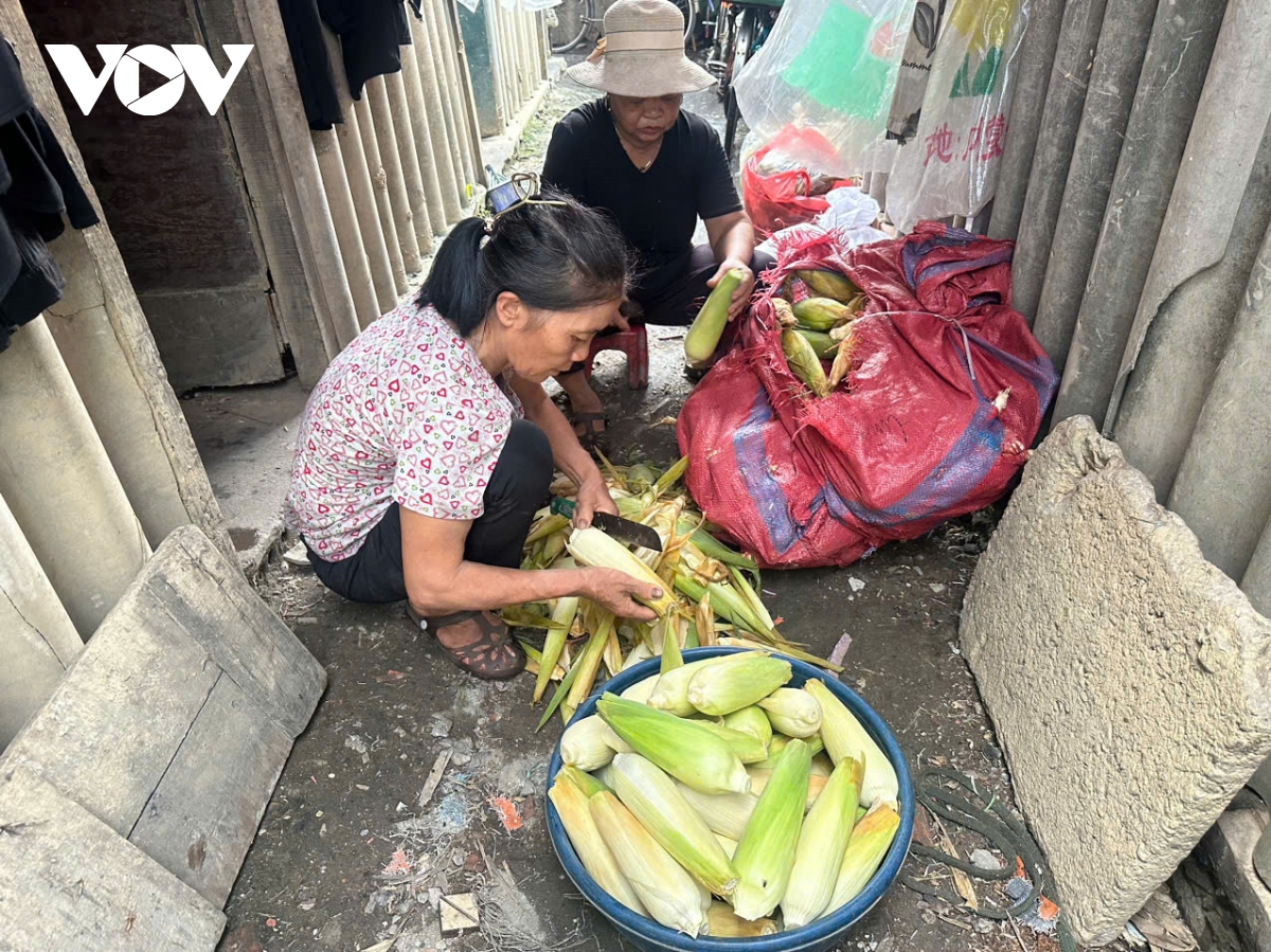 Người dân bãi sông Hồng (Hà Nội) nhọc nhằn mưu sinh trở lại sau lũ dữ- Ảnh 4.