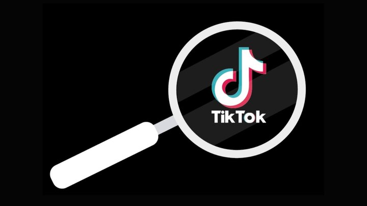 Mẹo tìm kiếm video TikTok cực kỳ đơn giản- Ảnh 1.