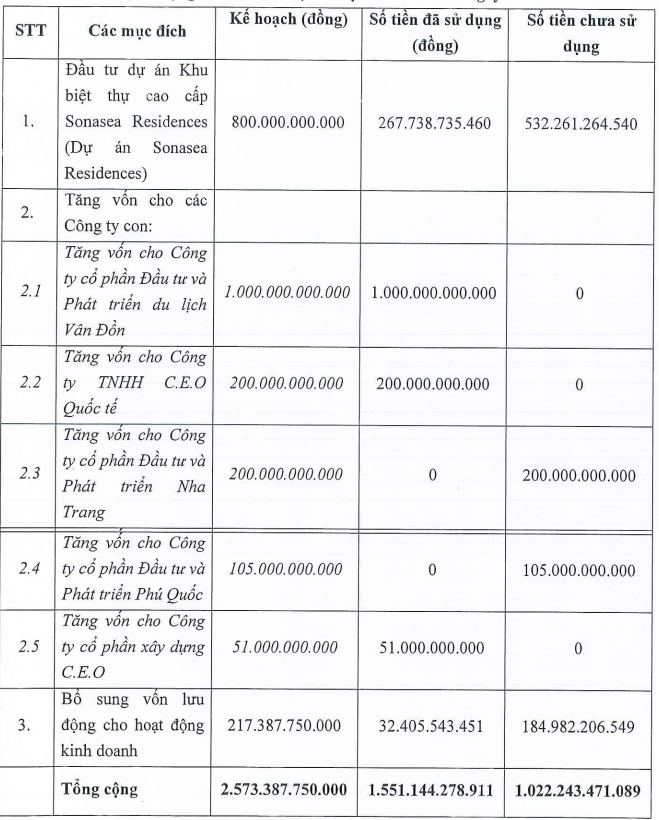 CEO Group mới sử dụng 60% số vốn thu được từ đợt phát hành 257,3 triệu cổ phiếu- Ảnh 1.