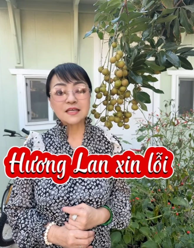 Danh ca Hương Lan nhận "lỗi lầm to lớn", xin khán giả tha thứ- Ảnh 1.