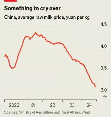 Ngành sữa Trung Quốc lao đao: Nông dân đổ bỏ sản phẩm, giá sữa rớt thê thảm, phần lớn trang trại thua lỗ- Ảnh 1.