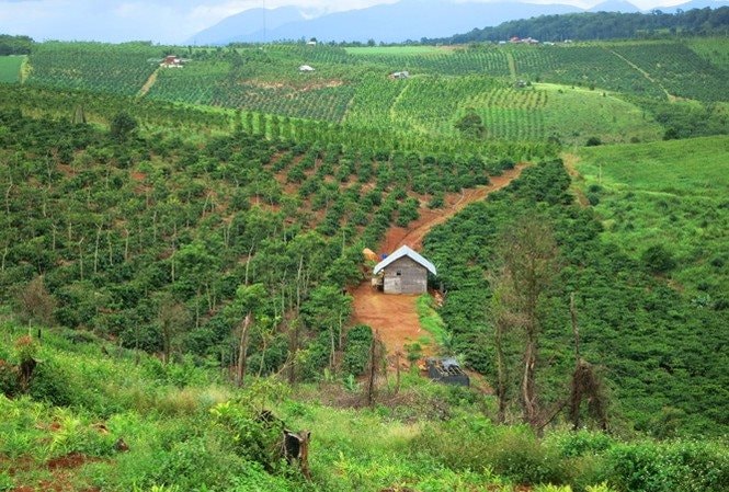 Chuyển mục đích sử dụng hơn 18ha đất rừng tại Hòa Bình để làm khu công nghiệp gần 2.000 tỷ đồng- Ảnh 1.