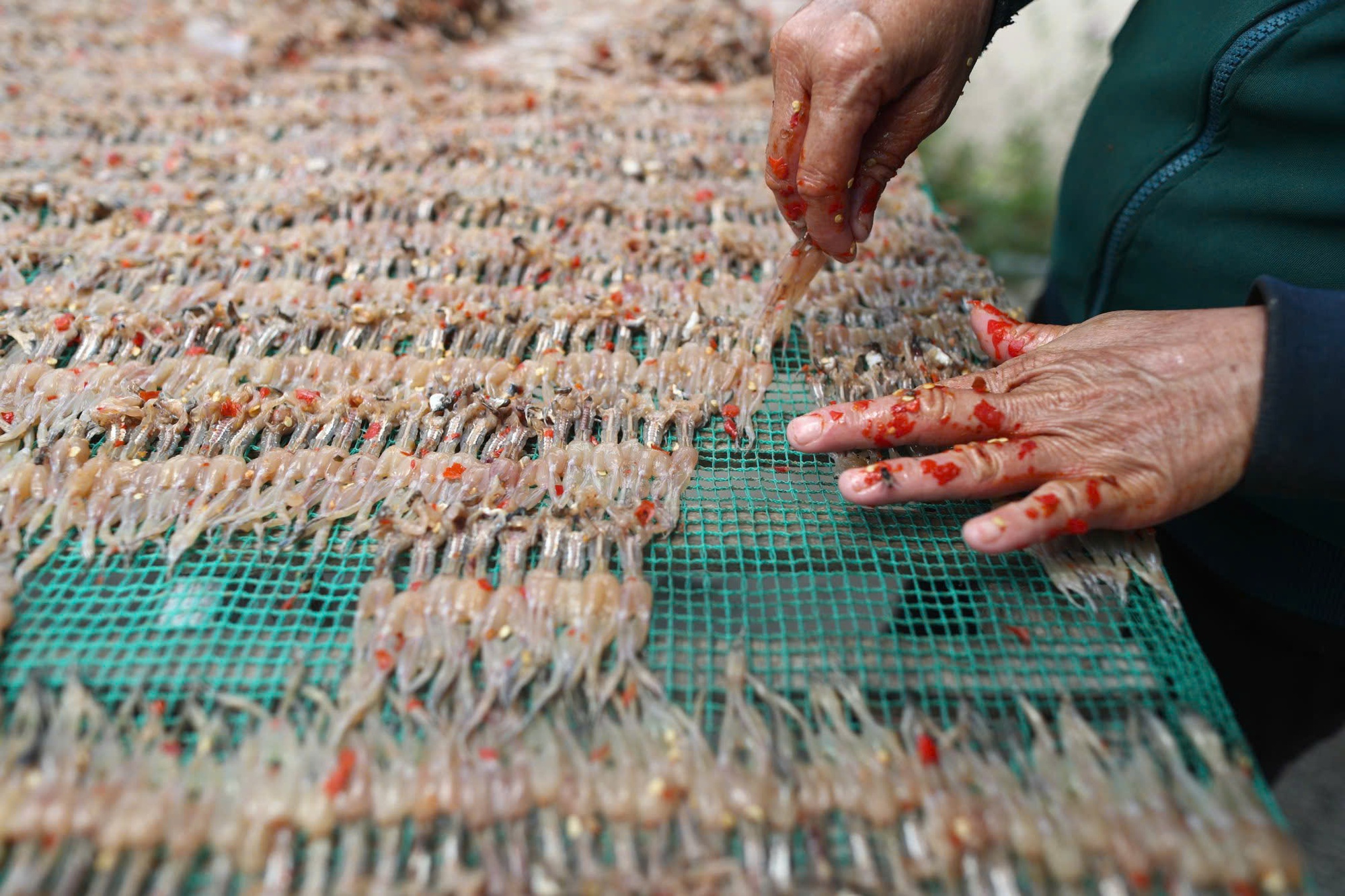 "Vũ nữ chân dài" đặc sản miền Tây vào mùa cao điểm, giá hơn nửa triệu 1kg vẫn hút khách- Ảnh 3.