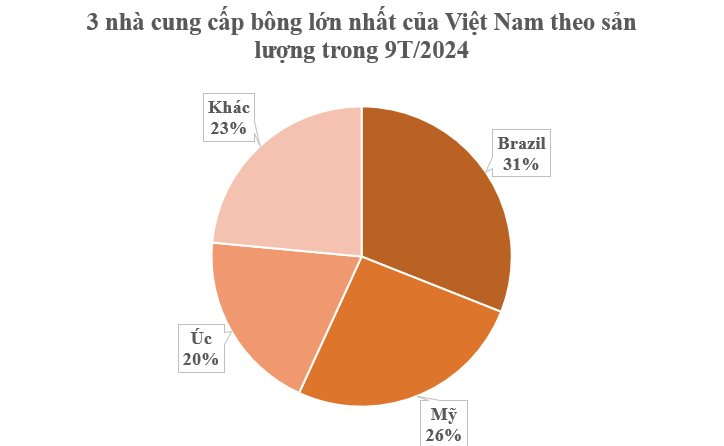 Hàng trăm nghìn tấn hàng từ Brazil đổ bộ Việt Nam với giá rẻ hấp dẫn: Chi hơn 2 tỷ USD nhập khẩu, nước ta tiêu thụ đứng thứ 3 thế giới- Ảnh 2.