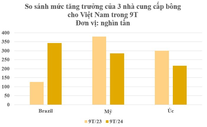 Hàng trăm nghìn tấn hàng từ Brazil đổ bộ Việt Nam với giá rẻ hấp dẫn: Chi hơn 2 tỷ USD nhập khẩu, nước ta tiêu thụ đứng thứ 3 thế giới- Ảnh 3.