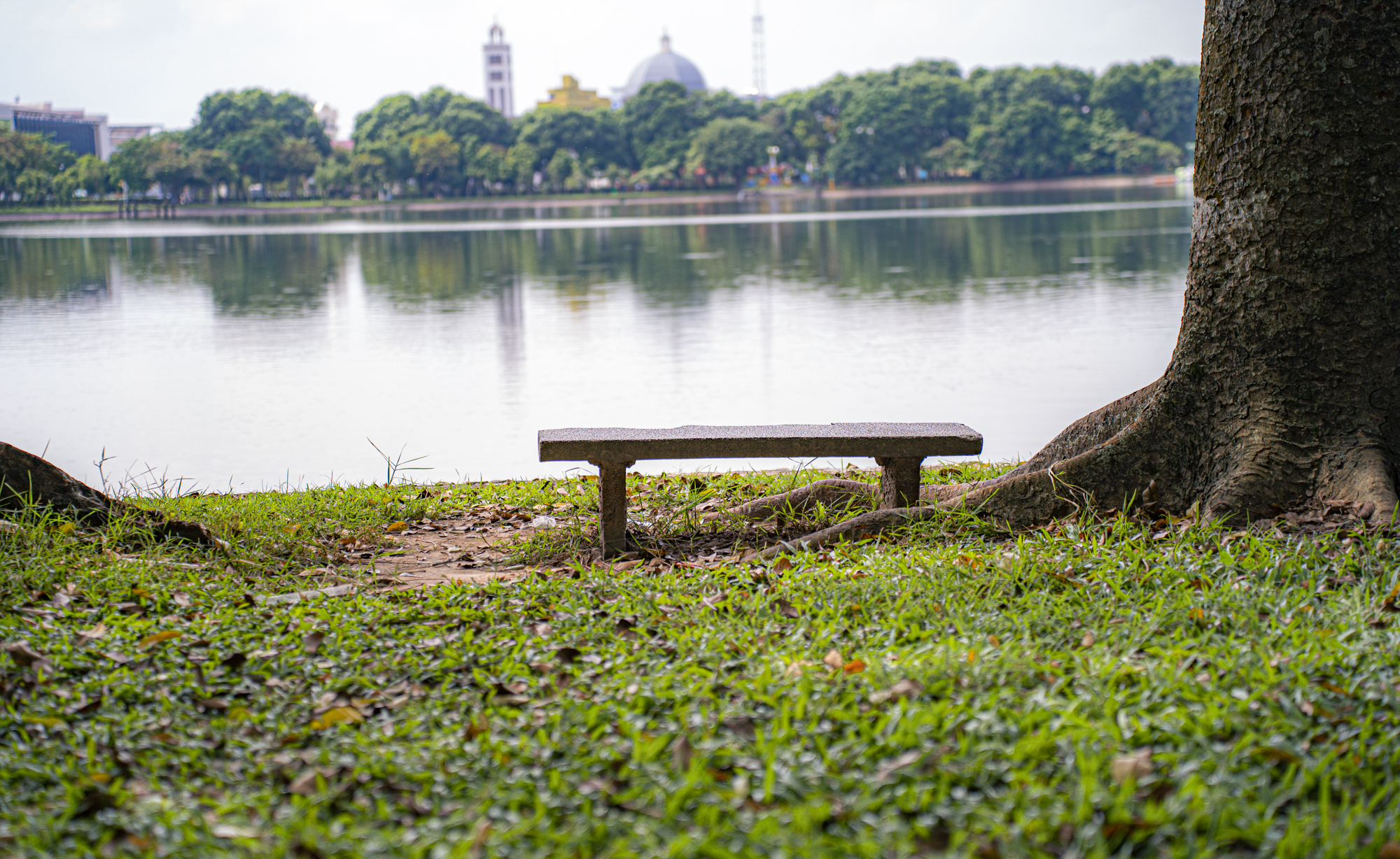 Hồ nước hình thành từ lấp sông, ngay gần UBND tỉnh, trở thành chốn an yên giữa lòng thành phố Nam Định- Ảnh 11.