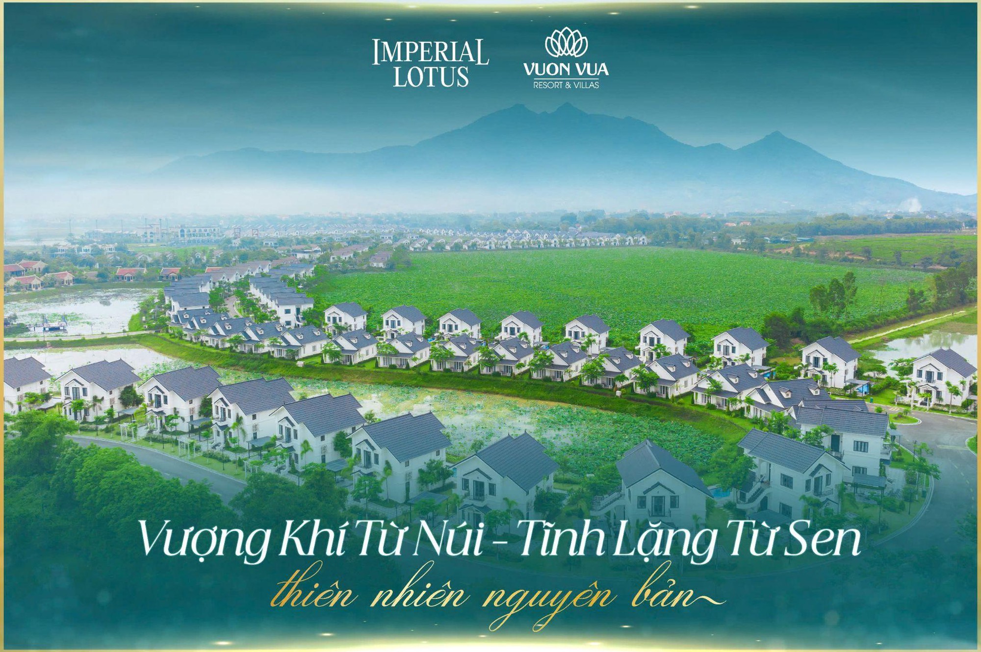 Chính thức mở bán phân khu đặc quyền Imperial Lotus tại Vườn Vua Resort & Villas- Ảnh 1.