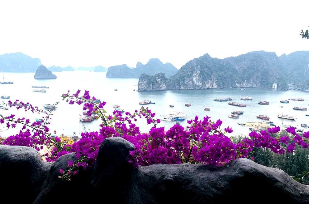 Quảng Ninh sở hữu 'cung điện dưới lòng đất' view hướng biển, có cả thang máy để di chuyển: Từng là nơi tổ chức đám cưới độc nhất vô nhị- Ảnh 5.