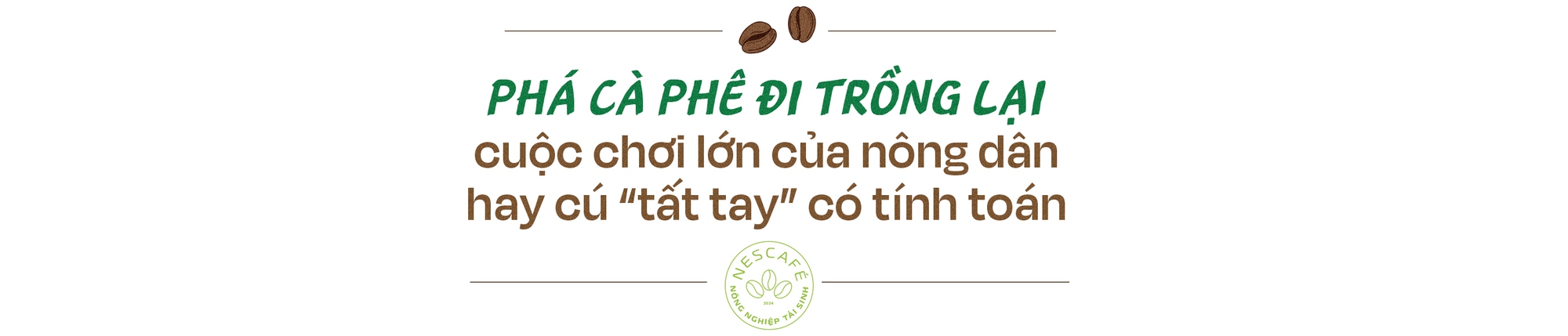 Nông dân thành triệu phú nhờ nông nghiệp tái sinh, câu chuyện từ vỏ lon, chai nhựa, và hành trình trở thành số một thế giới của cà phê Robusta Việt Nam- Ảnh 12.