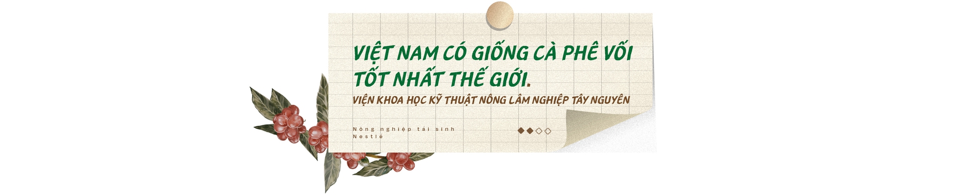 Nông dân thành triệu phú nhờ nông nghiệp tái sinh, câu chuyện từ vỏ lon, chai nhựa, và hành trình trở thành số một thế giới của cà phê Robusta Việt Nam- Ảnh 16.