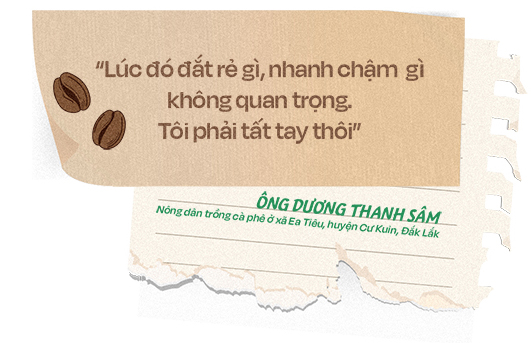 Nông dân thành triệu phú nhờ nông nghiệp tái sinh, câu chuyện từ vỏ lon, chai nhựa, và hành trình trở thành số một thế giới của cà phê Robusta Việt Nam- Ảnh 2.