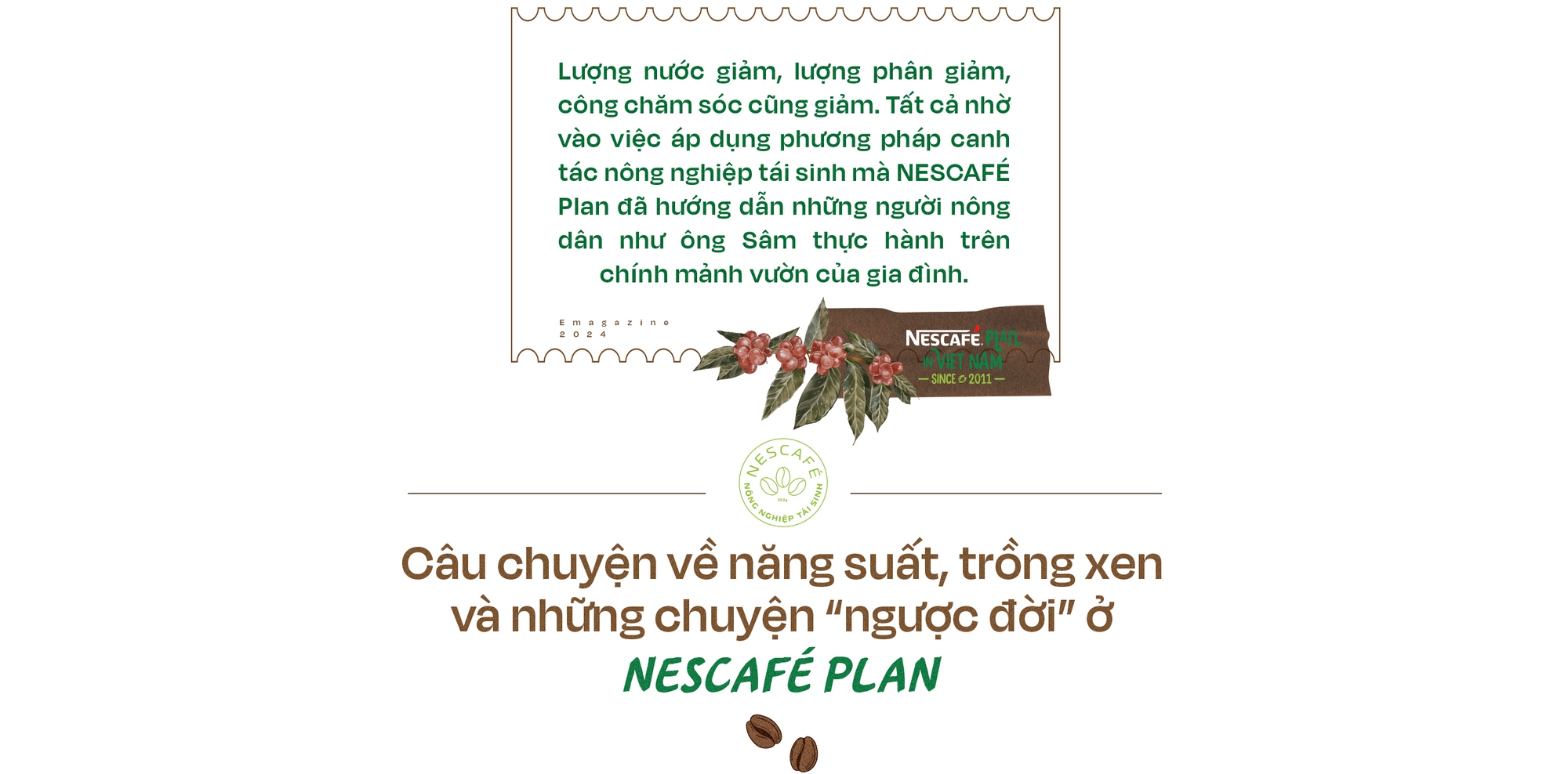 Nông dân thành triệu phú nhờ nông nghiệp tái sinh, câu chuyện từ vỏ lon, chai nhựa, và hành trình trở thành số một thế giới của cà phê Robusta Việt Nam- Ảnh 7.