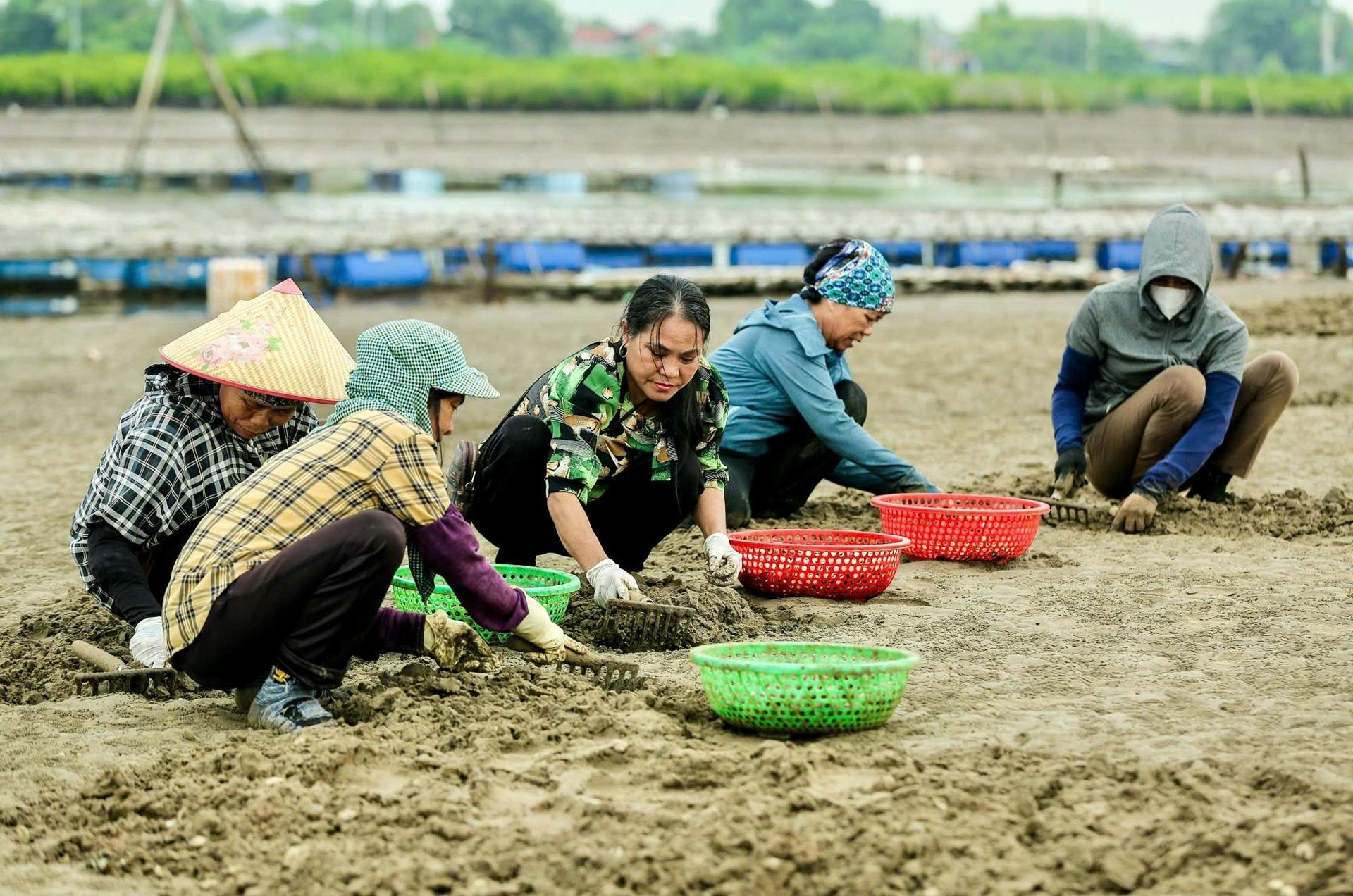 Từ đôi bàn tay trắng, bà nông dân kiếm 150 tỷ đồng/năm nhờ nuôi con "hiền như cục đất"- Ảnh 2.