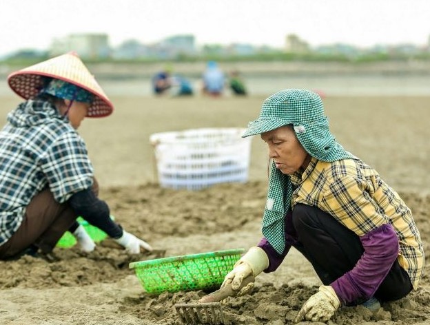 Từ đôi bàn tay trắng, bà nông dân kiếm 150 tỷ đồng/năm nhờ nuôi con "hiền như cục đất"- Ảnh 3.