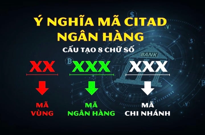 Thế nào là mã Citad?- Ảnh 1.