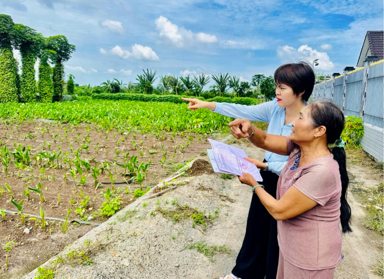 Tp.HCM: Nhà đầu tư cá nhân dễ dàng chuyển đổi từ đất nông nghiệp sang thổ cư?- Ảnh 1.