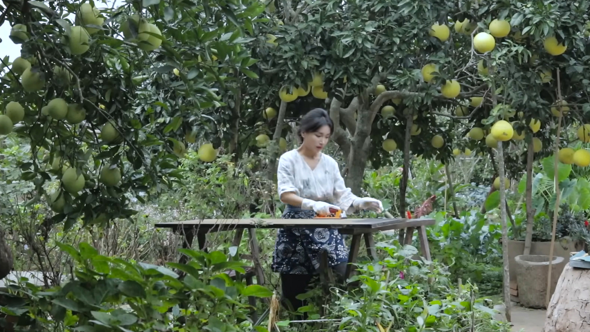 Lý Tử Thất tái xuất "kinh khủng" sau 3 năm vắng bóng, đạt ngay kỷ lục chỉ với 3 video- Ảnh 2.