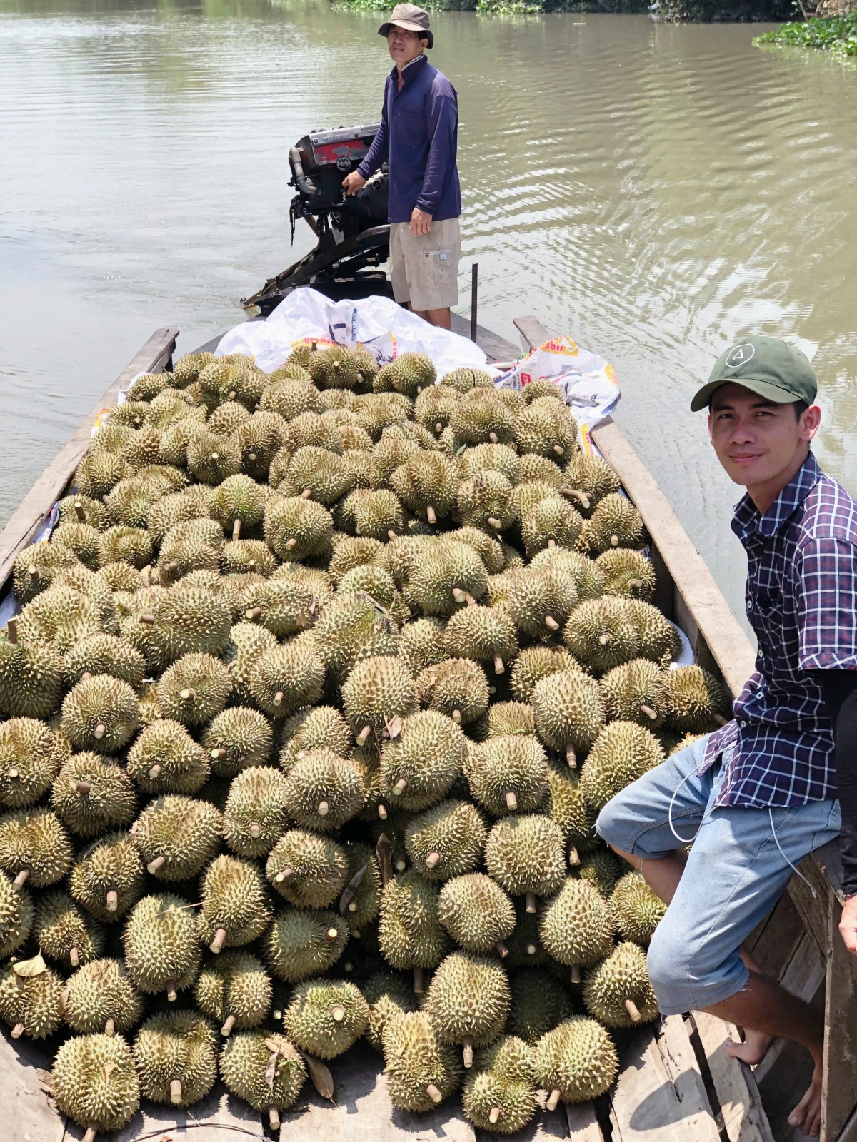 Sầu riêng nghịch vụ thất mùa, nhà vườn thất thu từ cây "tỉ phú"- Ảnh 4.