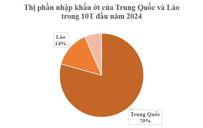 Việt Nam sở hữu loại quả gia vị triệu đô được Lào, Trung Quốc cực kỳ mê: Thu về 23 triệu USD kể từ đầu năm, nước ta có sản lượng hàng trăm nghìn tấn- Ảnh 2.