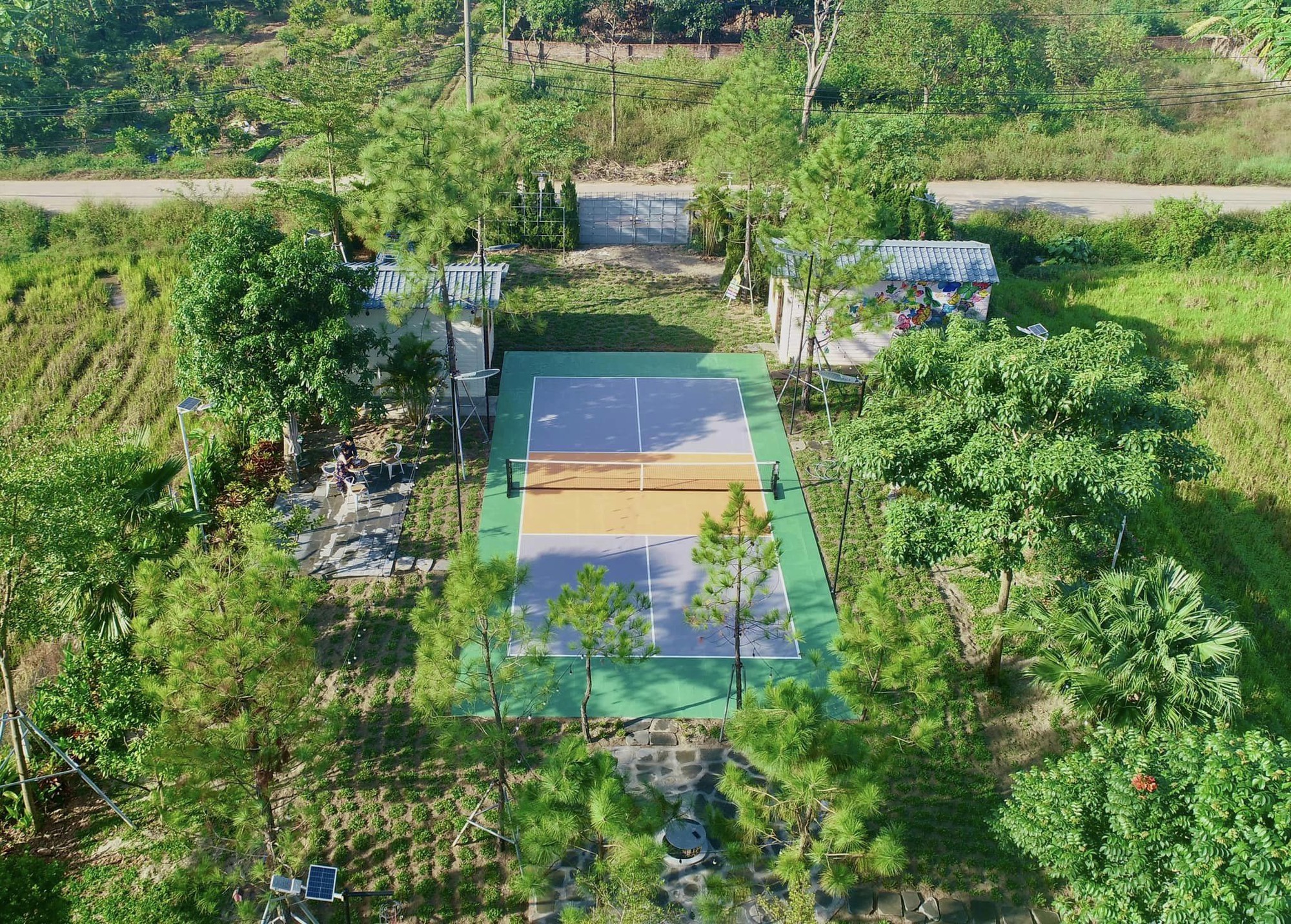 Thấy gì từ việc chủ villa, homestay chi hàng trăm triệu mở sân pickleball?- Ảnh 13.