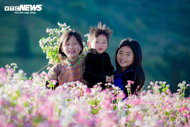 Thảo nguyên ở Hà Giang đẹp như 'Thụy Sĩ thu nhỏ' giữa mùa hoa tam giác mạch- Ảnh 6.